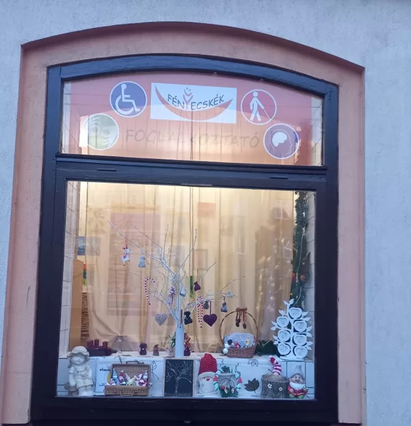 Fogyatékkal élők nappali fejlesztése