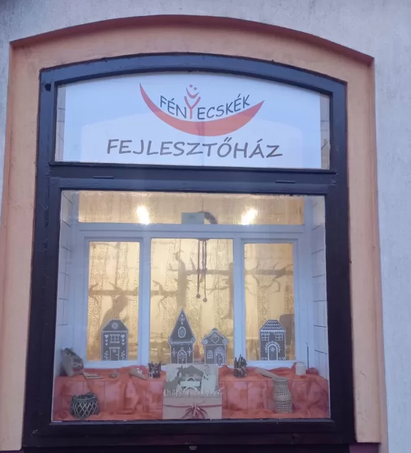 Fogyatékkal élők nappali fejlesztése